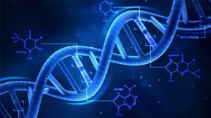 Genetics of Macular Degeneration