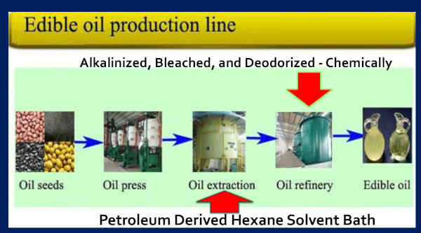 Edible Oil Production Line and Macular Degeneration