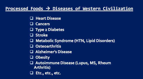 Processed Foods and Diseases of Civilization