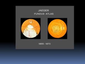 19th Century Fundus Atlases - showing the macula, optic nerve, and retina