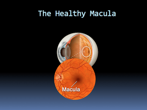 Healthy Macula